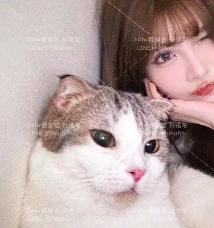 可兒